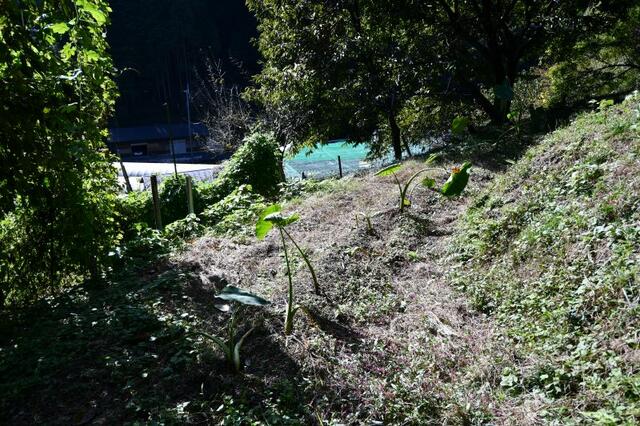 Additional image 25 of Yagyu Town, Nara City, Nara Prefecture