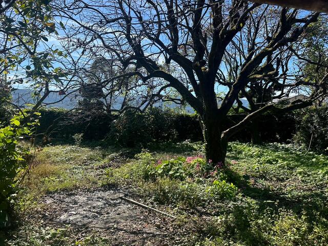 Additional image 8 of Ushijima, Kamojima-cho, Yoshinogawa City, Tokushima Prefecture