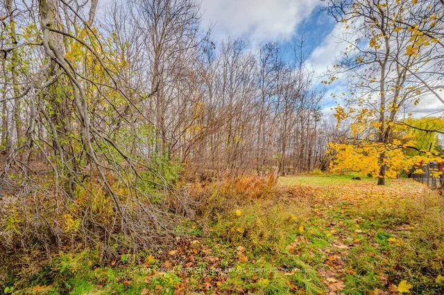 Additional image 35 of 1399 Augustine Dr