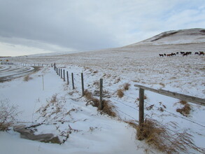Additional image 5 of NE2-15-29W4