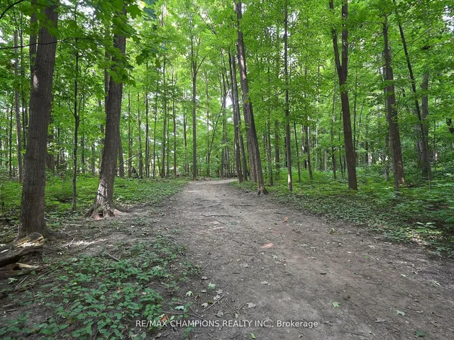 Additional image 39 of 7214 Ridgeland Cres