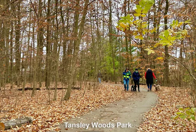 Additional image 21 of 1431 Walker's Line Unit 208