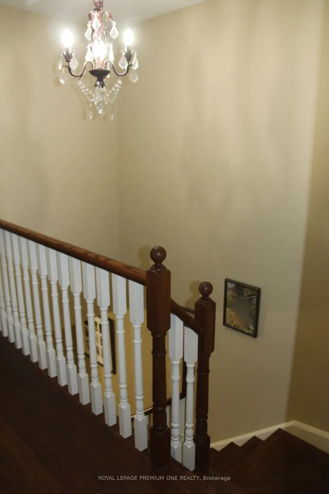 Additional image 15 of 50 Big Moe Cres