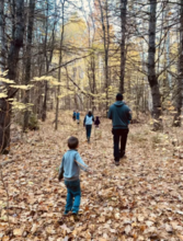 Additional image 3 of 13098 Hwy 41