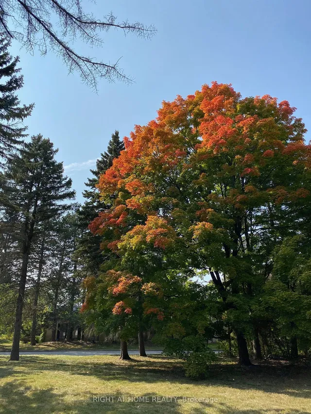 Additional image 4 of 48 The Bridle Path