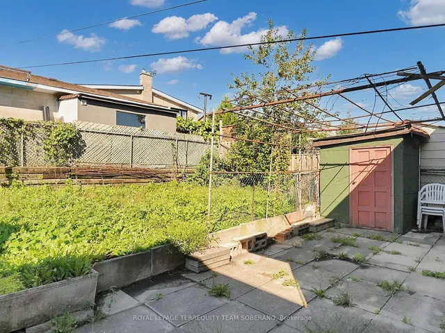 Additional image 38 of 10 Bengal Crt