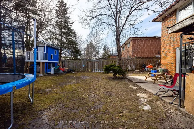 Additional image 35 of 59 ANGORA St