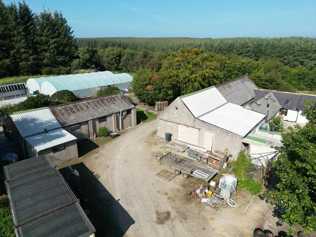 Additional image 23 of Bauds Pet Care and Garden Centre, Woodhead Bauds, Buckie, AB56 4DY