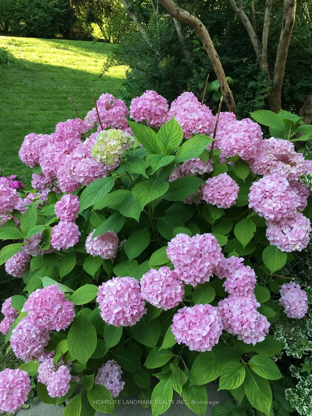 Additional image 4 of 115 Scenic Mill Way Unit 110