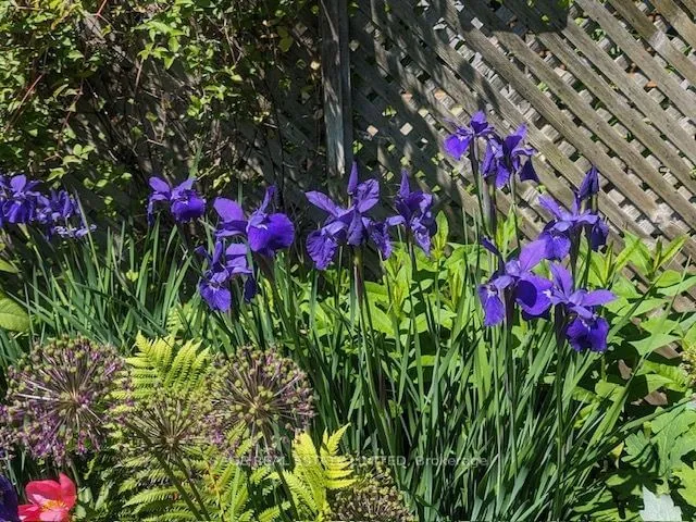 Additional image 31 of 116 Hannaford St