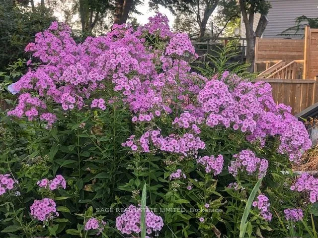 Additional image 29 of 116 Hannaford St