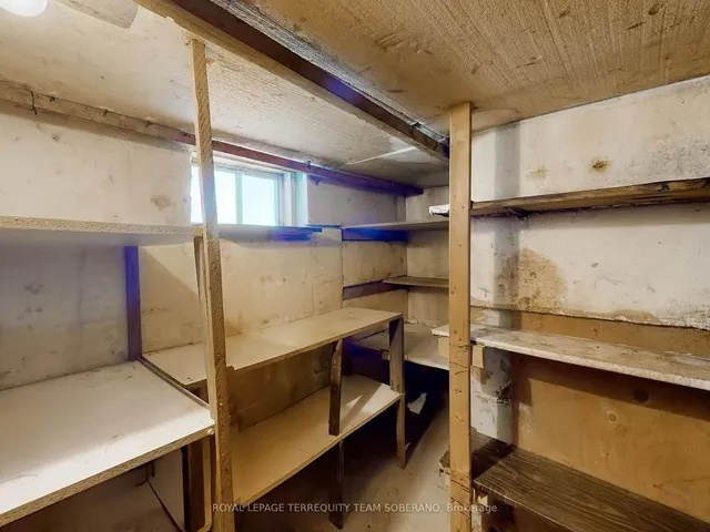 Additional image 35 of 10 Bengal Crt