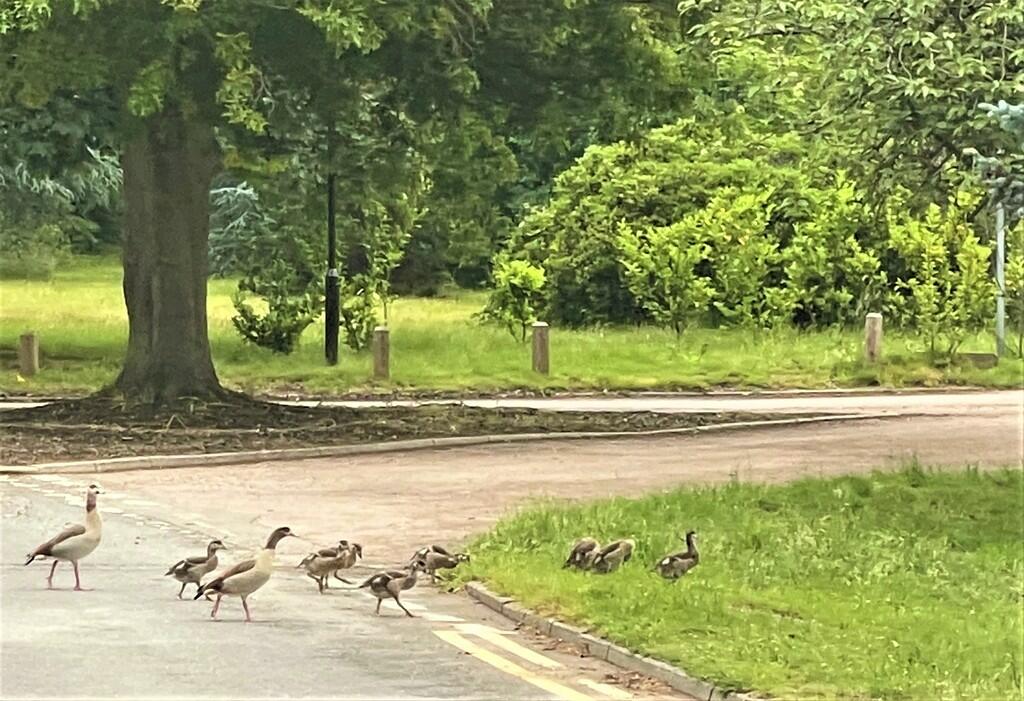 Additional image 13 of Yule House at Hanstead Park