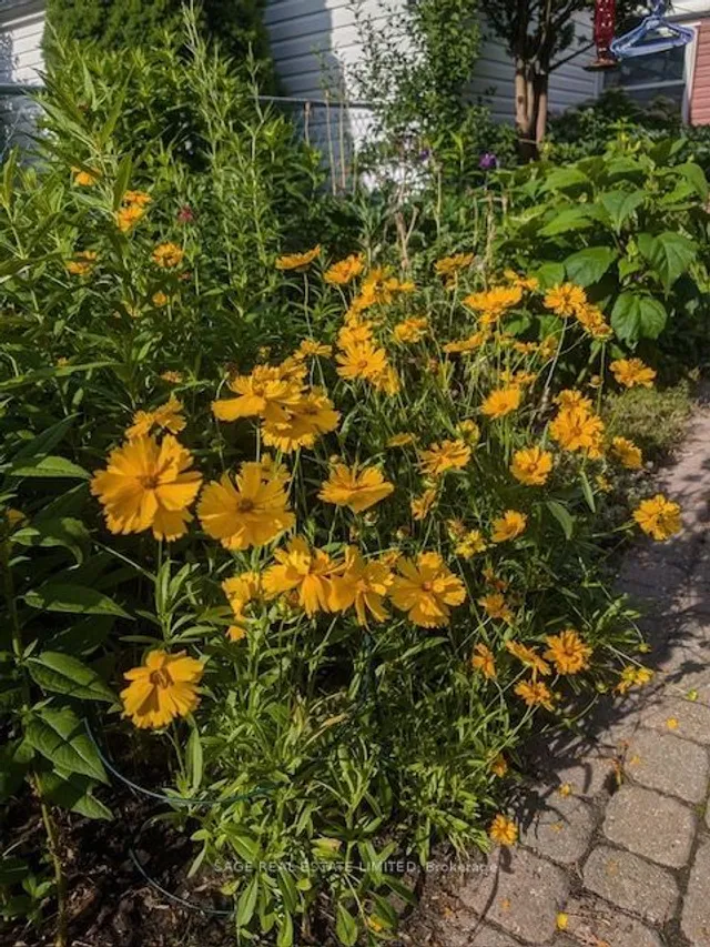 Additional image 33 of 116 Hannaford St