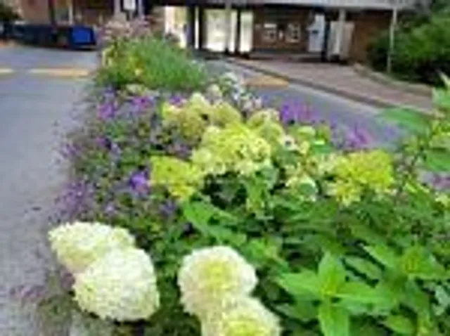 Additional image 33 of 1 Massey Sq Unit 2112