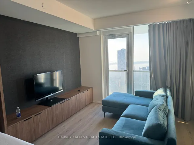 197 Yonge St Unit 4908