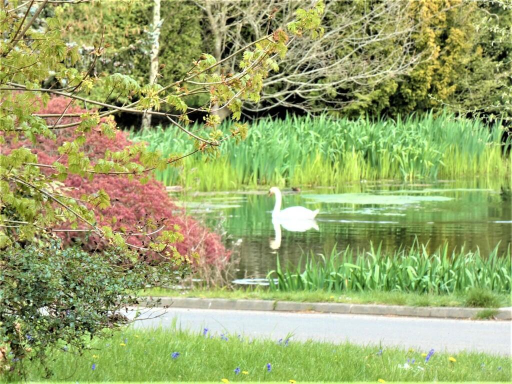 Additional image 12 of Yule House at Hanstead Park