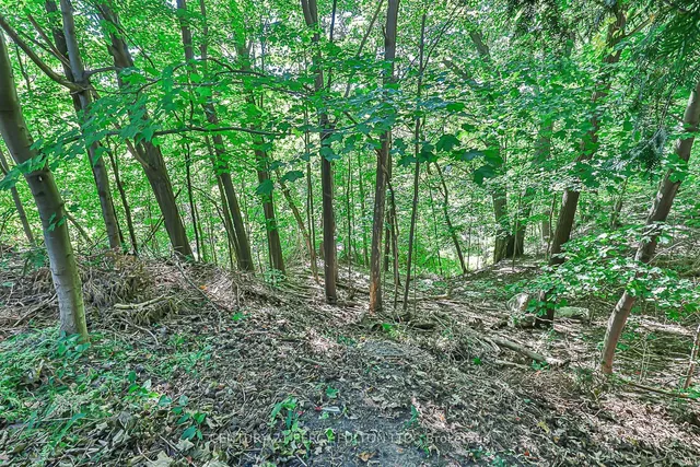 Additional image 39 of 4 Page Ave