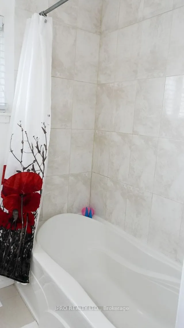 Additional image 12 of 11 Unser Gate