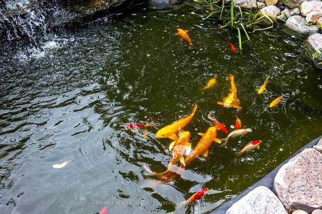 Additional image 32 of 169 Kennard Ave