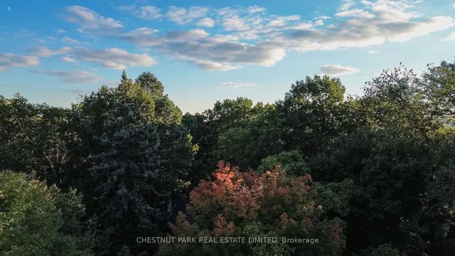 Additional image 10 of 6C Wychwood Park