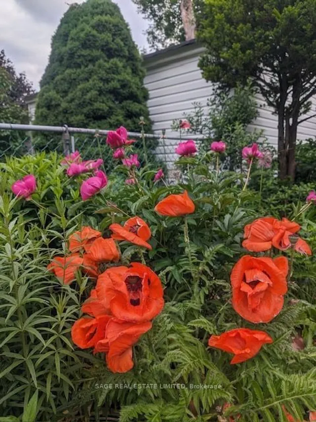 Additional image 32 of 116 Hannaford St