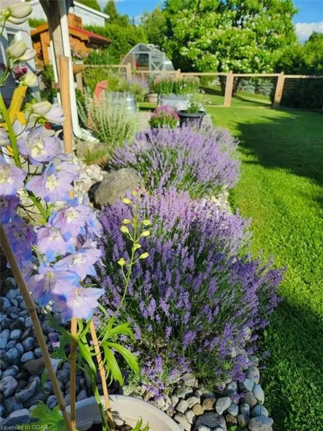 Additional image 41 of 13416 Fourth Line Nassagaweya