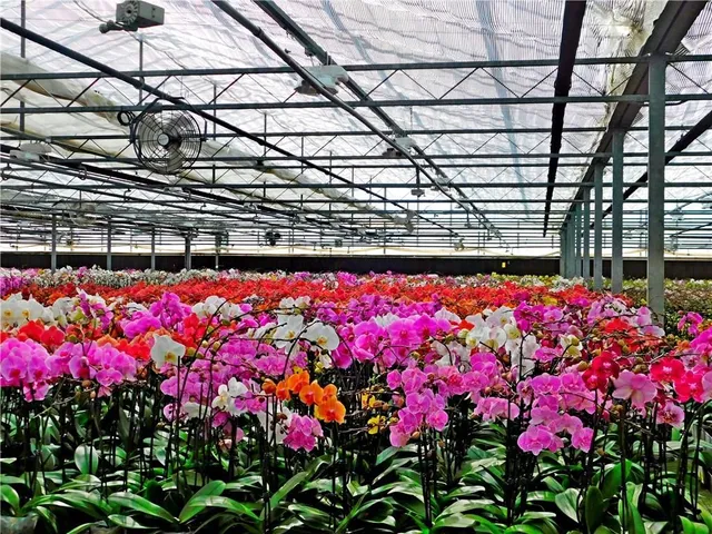 Additional image 17 of 7076 MCNIVEN Rd