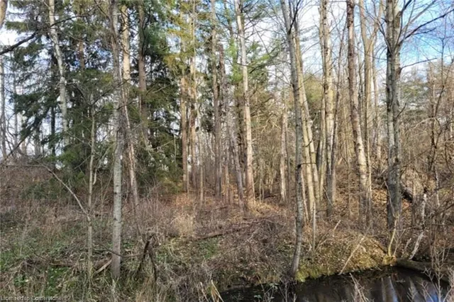 Additional image 28 of PT LT 22 Concession 2 Rd