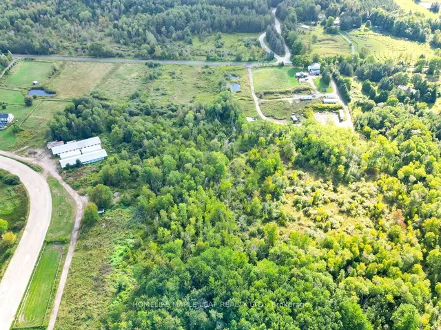 Additional image 30 of 13419 Fifth Line Nassagaweya