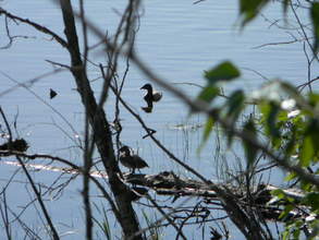 Additional image 3 of Block 2 lot 6