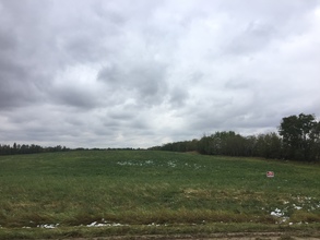 Additional image 3 of RR 243 North TWP 580