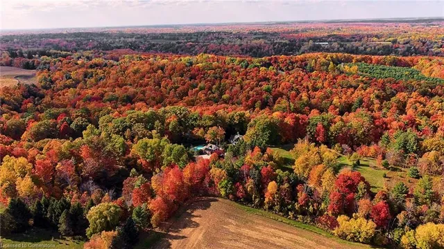 Additional image 5 of 1251 Britannia Rd