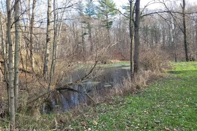 Additional image 25 of PT LT 22 Concession 2 Rd