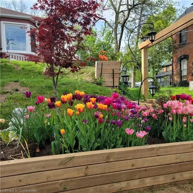 Additional image 41 of 17 Dundas St