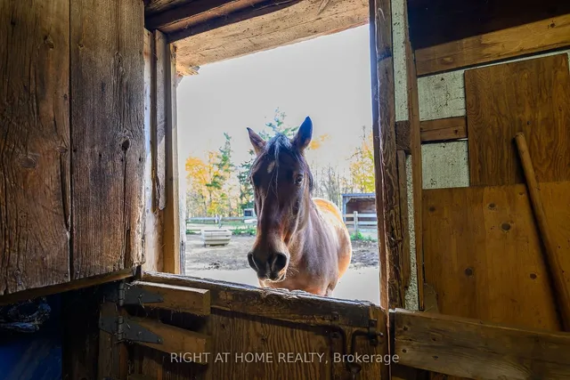 Additional image 33 of 1396 Progreston Rd