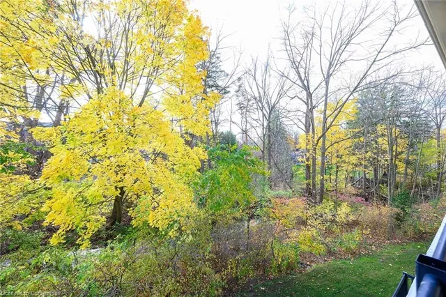 Additional image 42 of 443 Centennial Forest Dr Unit 213