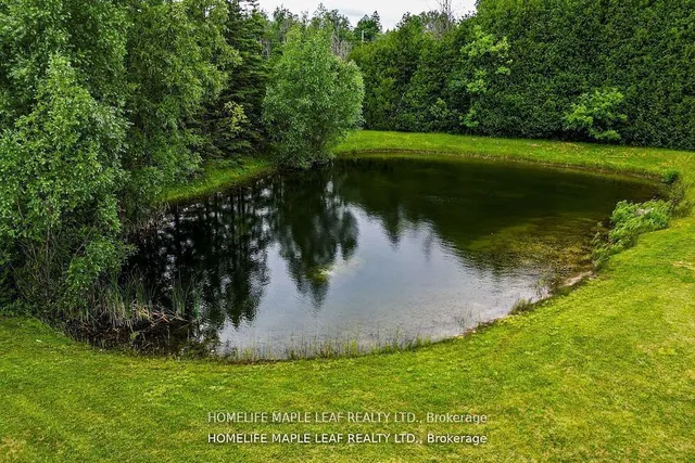 Additional image 38 of 12629 Second Line