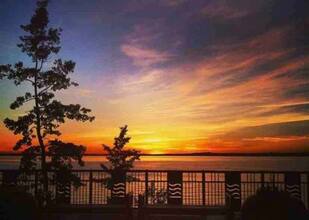 Additional image 4 of 4415 Lakeshore Dr