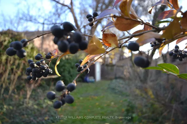 Additional image 32 of 25 Chatham St