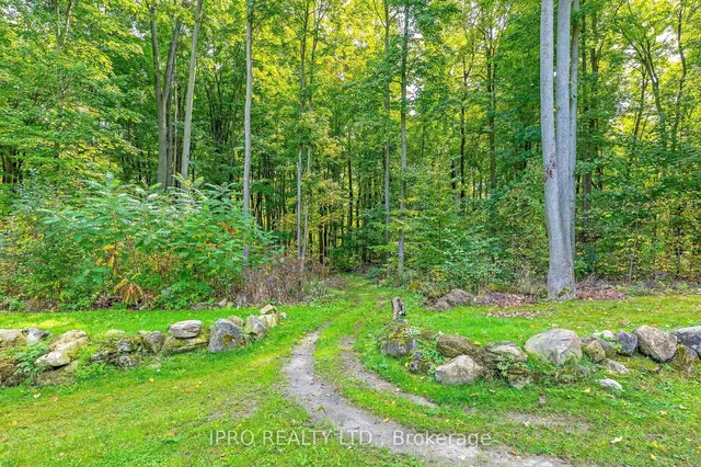 Additional image 23 of 3124 Limestone Rd