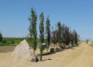 Additional image 5 of 12 Meadowbrook Views, 420054 RGE RD 283