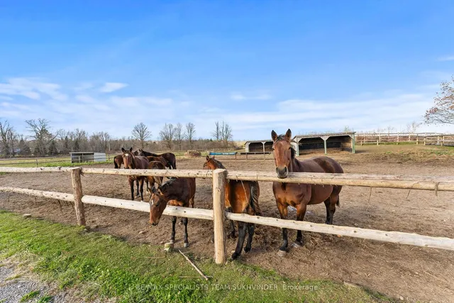 Additional image 19 of 10253 second Line