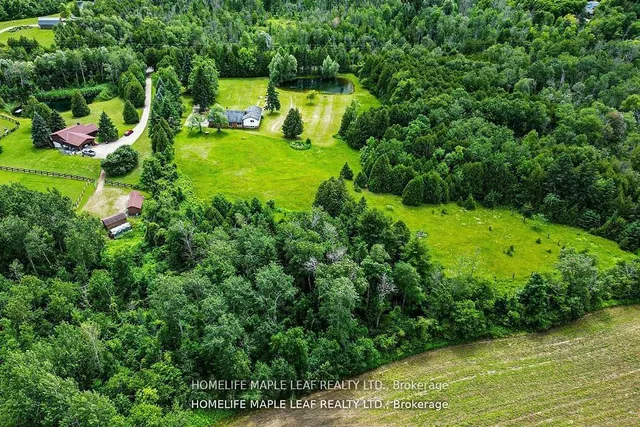 Additional image 35 of 12629 Second Line