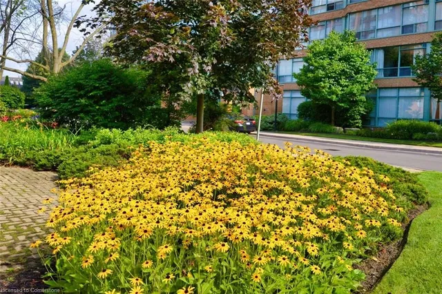 Additional image 42 of 1276 Maple Crossing Blvd Unit 1508