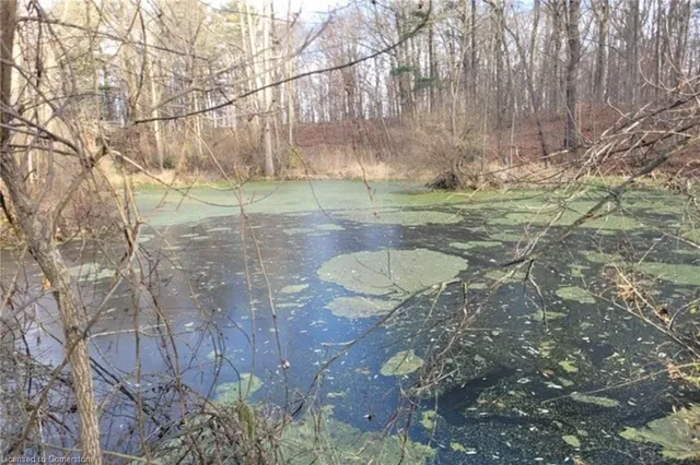 Additional image 26 of PT LT 22 Concession 2 Rd