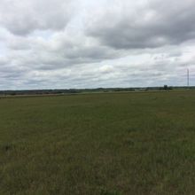 Additional image 2 of 49 Edith Crescent