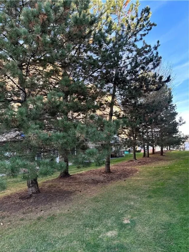 Additional image 17 of 1810 Walkers Line Unit 303