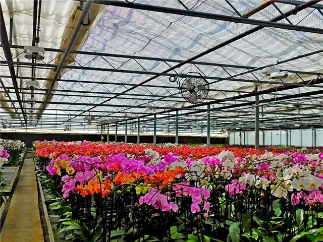 Additional image 18 of 7076 MCNIVEN Rd