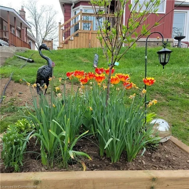 Additional image 43 of 17 Dundas St